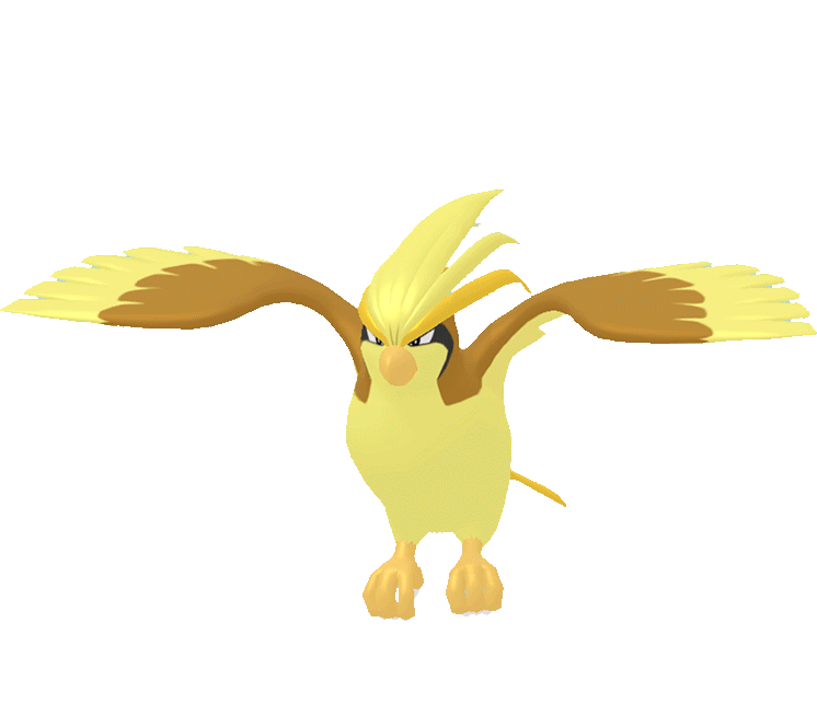 #0018 - Pidgeot