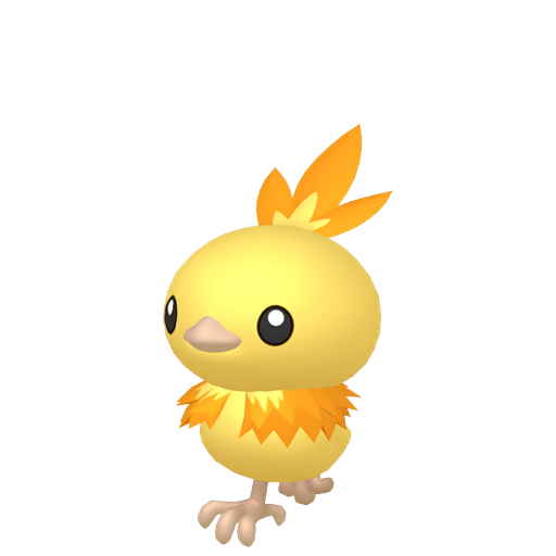 #0255 - Torchic Shiny 6IV ShinyAsh