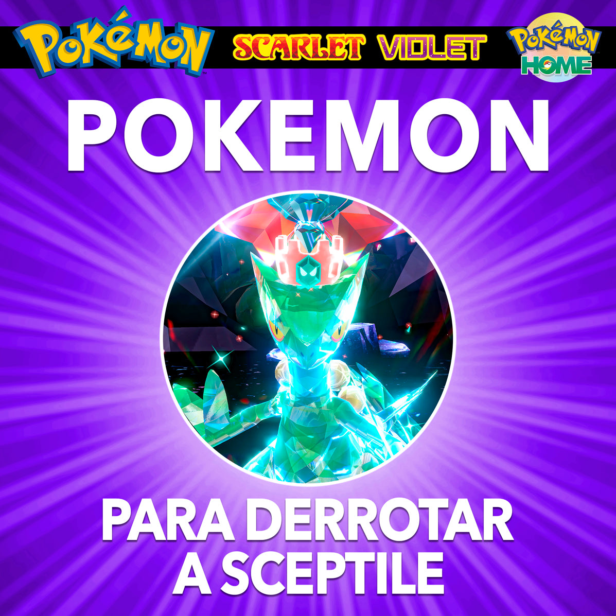 Pokemon Entrenados Para Sceptile de 7 Estrellas