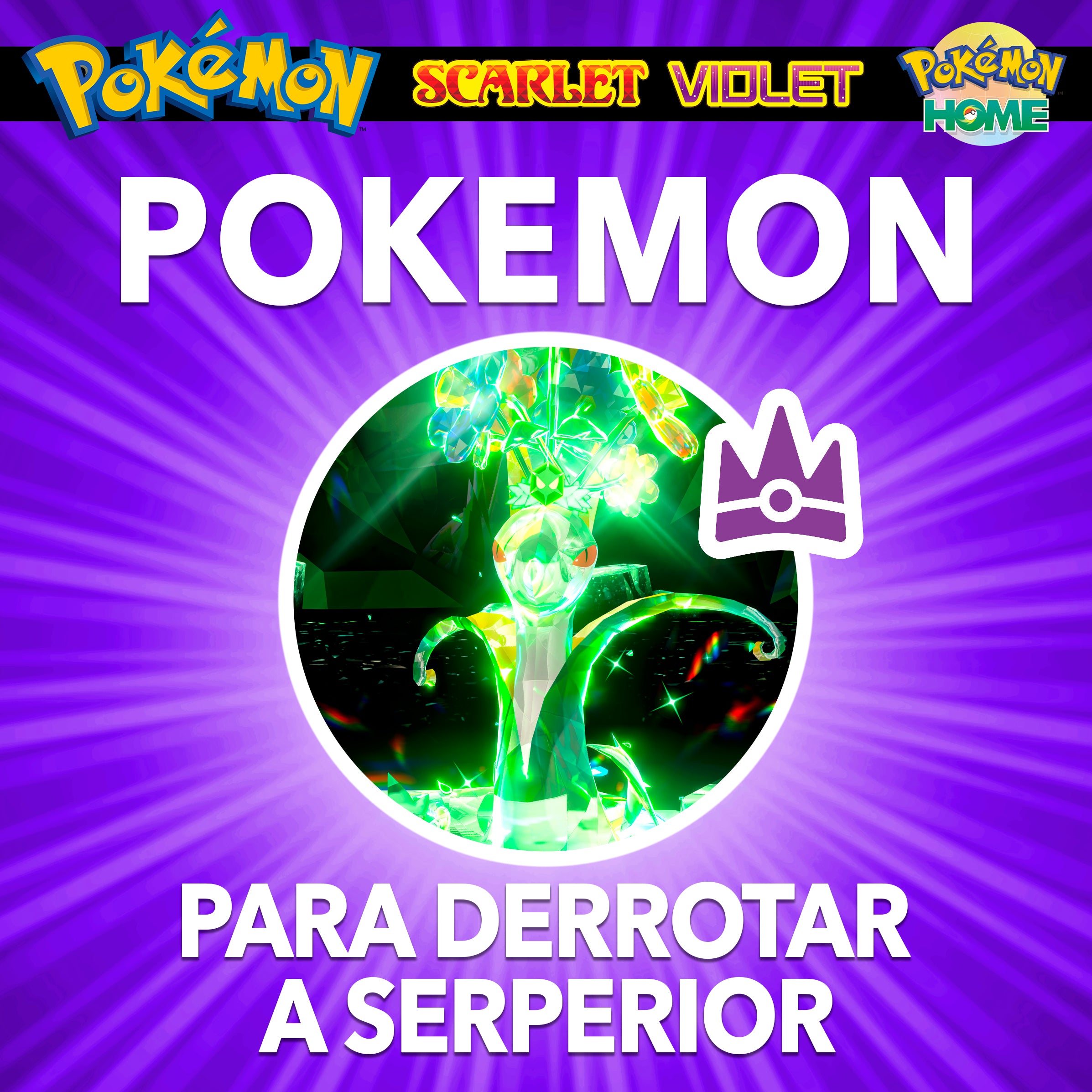 Pokemon Entrenados Para Serperior de 7 Estrellas