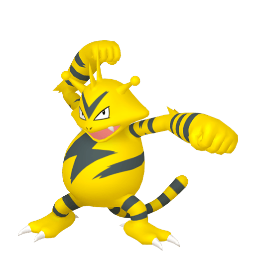 #0125 - Electabuzz - ShinyAsh