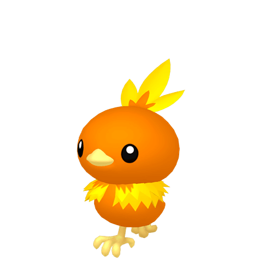 #0255 - Torchic - ShinyAsh