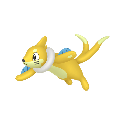 #0418 - Buizel - ShinyAsh