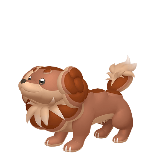 #0927 - Dachsbun - ShinyAsh