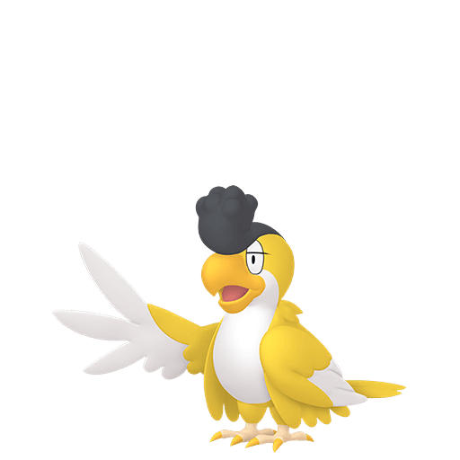 #0931 - Squawkabilly - ShinyAsh